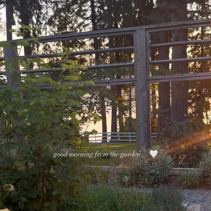  "good morning from the garden" - ,  .      ,   :  -  .