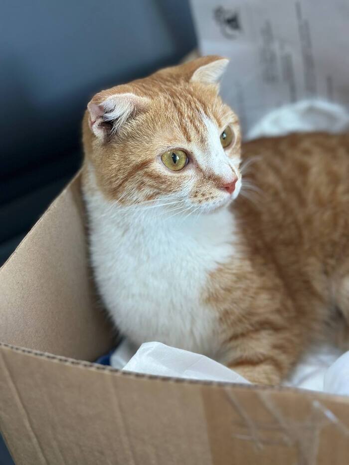 ����� ������� �� ������� ���� � �������!