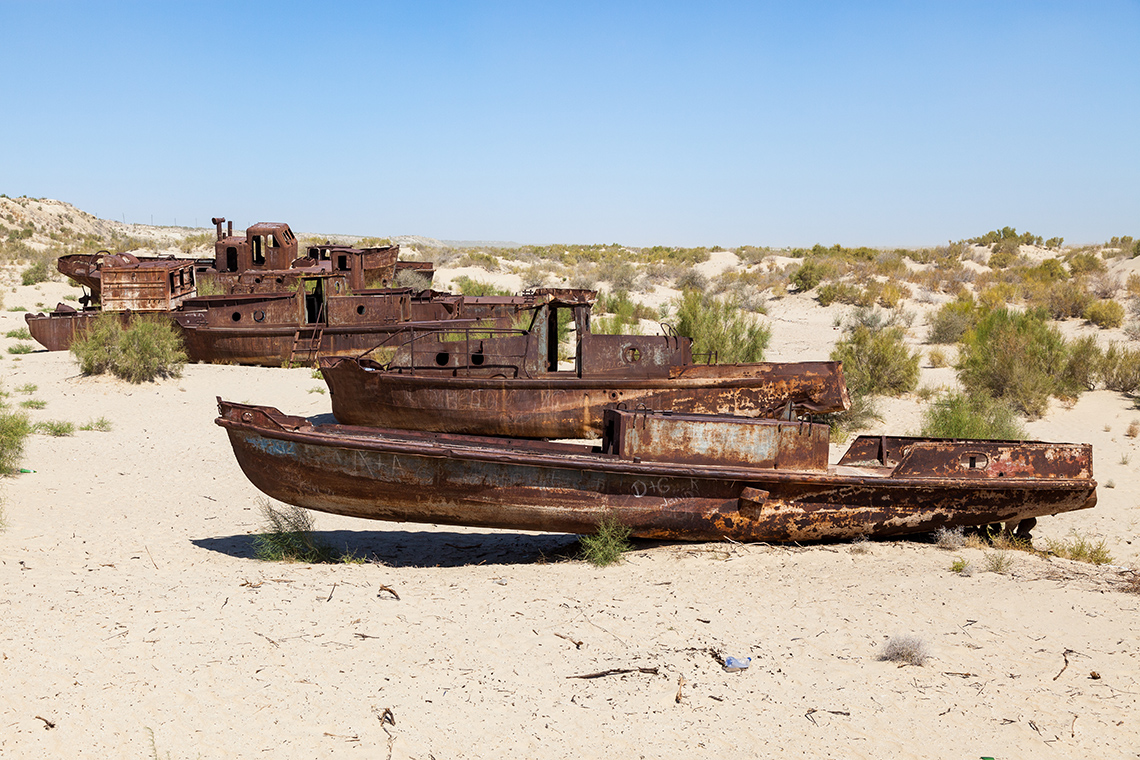 The Aral Sea: How did the water flow away, where did the fish go and is there hope? - Aral Sea, Desert, Nature, Animals, Wild animals, wildlife, Sea, A fish, Yandex Zen, Yandex Zen (link), Longpost