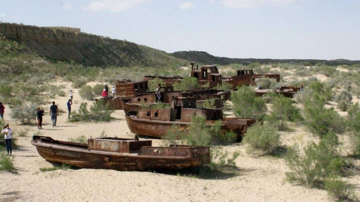 The Aral Sea: How did the water flow away, where did the fish go and is there hope? - Aral Sea, Desert, Nature, Animals, Wild animals, wildlife, Sea, A fish, Yandex Zen, Yandex Zen (link), Longpost
