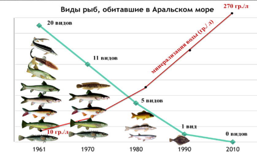 The Aral Sea: How did the water flow away, where did the fish go and is there hope? - Aral Sea, Desert, Nature, Animals, Wild animals, wildlife, Sea, A fish, Yandex Zen, Yandex Zen (link), Longpost