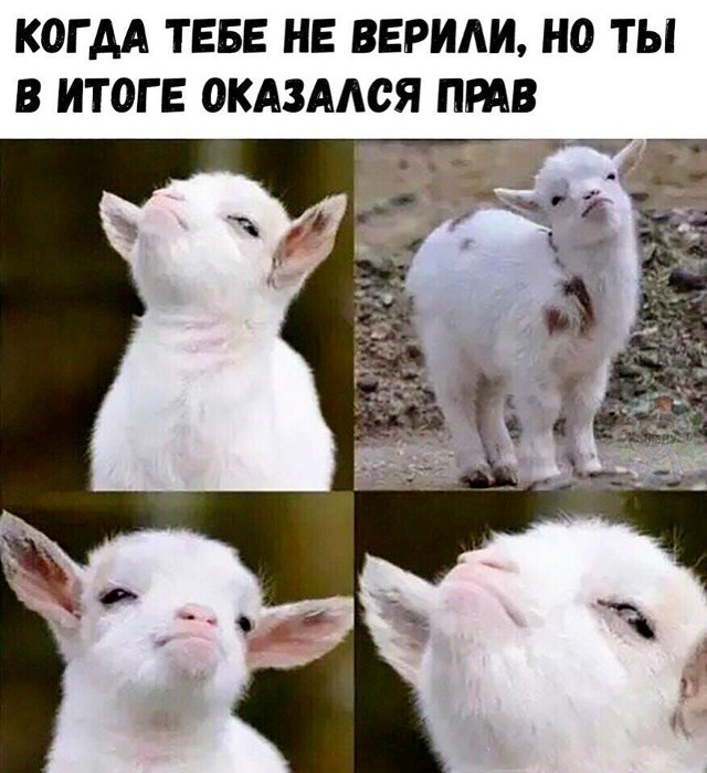    , , 