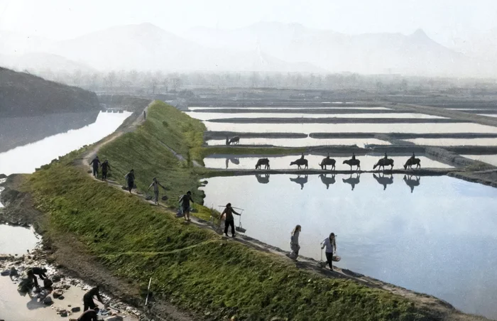 Любопытные фотографии из прошлого стран Азии. 20 раскрашенных фотографий ХХ века. Часть 7 Историческое фото, Старое фото, 20 век, Фотография, Азия, Таиланд, Япония, Китай, Индия, Корея, Колоризация, Длиннопост