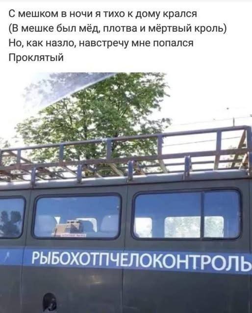 roiexjli.jpg