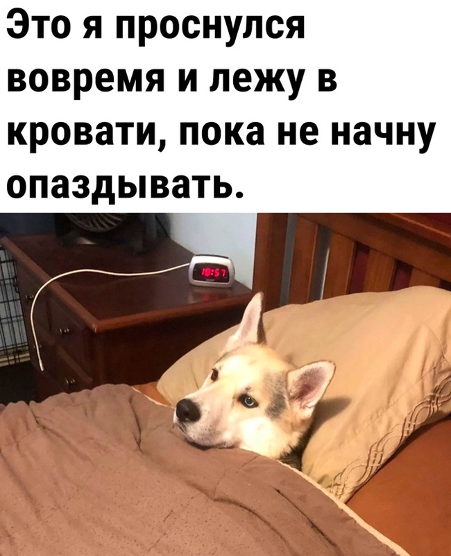   [:||:] , ,   ,  ,  , , , 