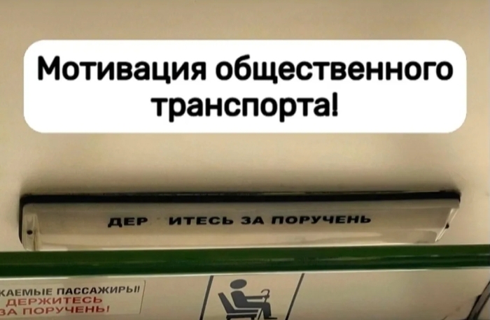    ,   , Telegram (), 