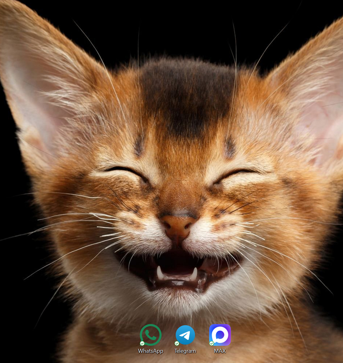 Max   , Telegram (), 