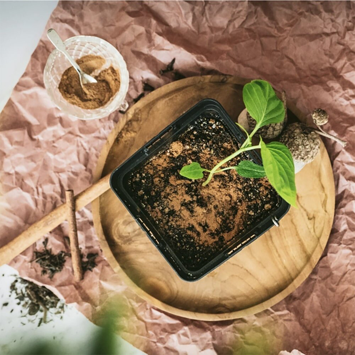 ������ �� ����������� ����� - ������� ������ �������� ������� �� ������� � ������ ����� ��� �����