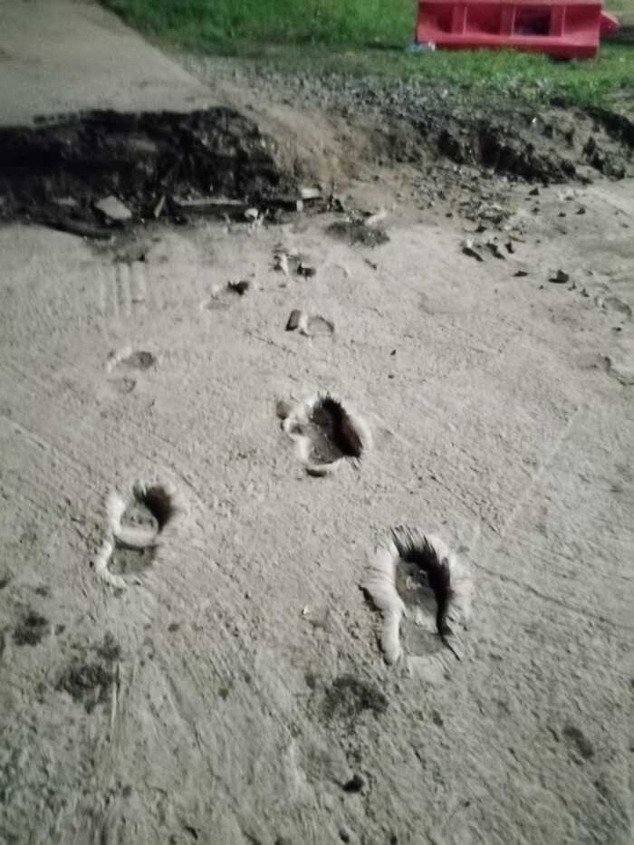  .    , , 