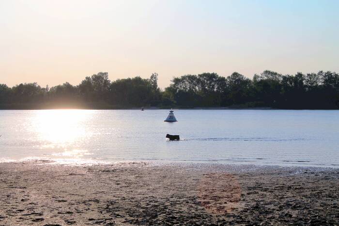 ����� ���� ������ �� ������� � ������ �������������� ������-������������, �� ������ ������������� ���������� ������� ��������. ��, ��� ������� �� ������� ��� ������ ����. � �� ������ ����� �� ������ � ������. ������� ���������� �����) ������� ����)