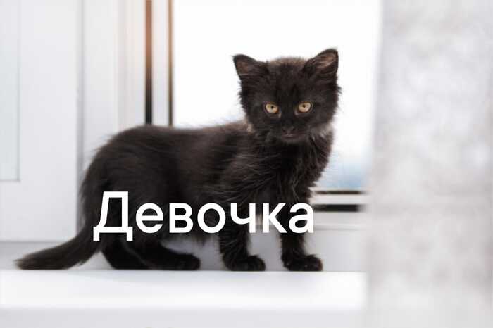        ,  , , , , , ,  , , 