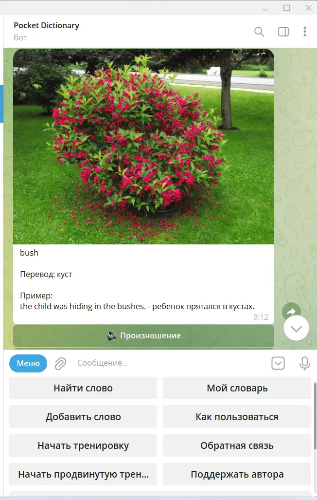 Telegram- Pocket Dictionary:        ,  ,  , ,  , , Telegram , Telegram (), 