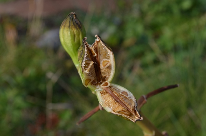 ,      .  .    <!--noindex--><a href="https://pikabu.ru/story/liliya_glena_13108164?u=http%3A%2F%2Fmolbiol.ru&t=molbiol.ru&h=e51ae933f486bf6be10eb7462c226dc77cbf494c" title="http://molbiol.ru" target="_blank" rel="nofollow noopener">molbiol.ru</a><!--/noindex-->.