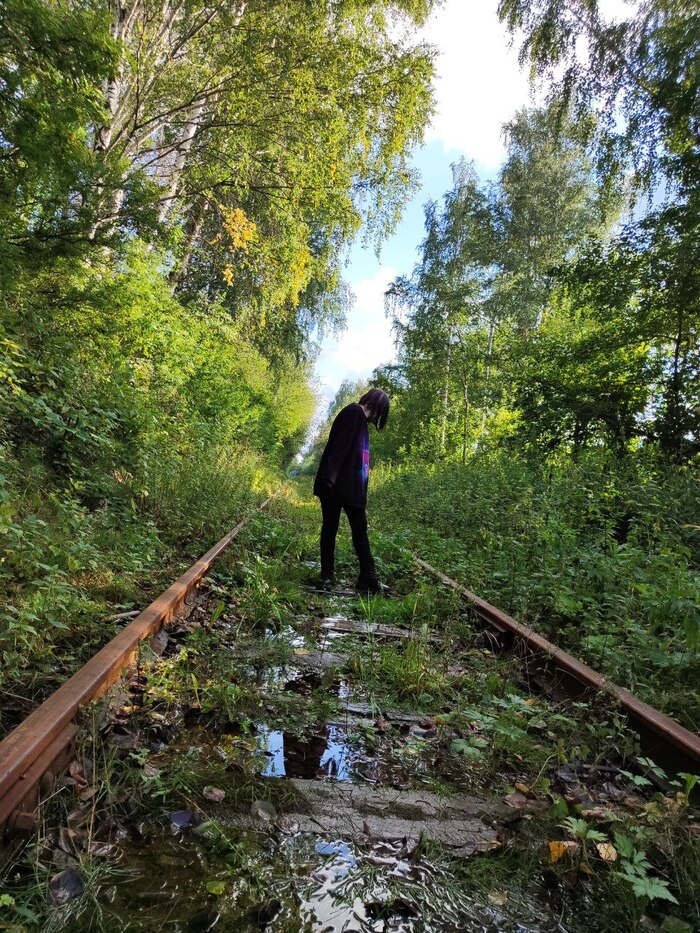 Прогулка Фотография, Лето, Озеро, Длиннопост