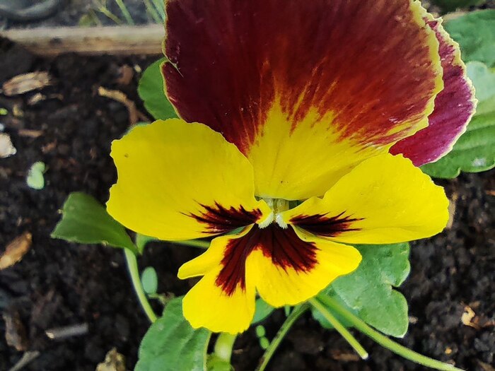 Прогулка Фотография, Лето, Озеро, Длиннопост