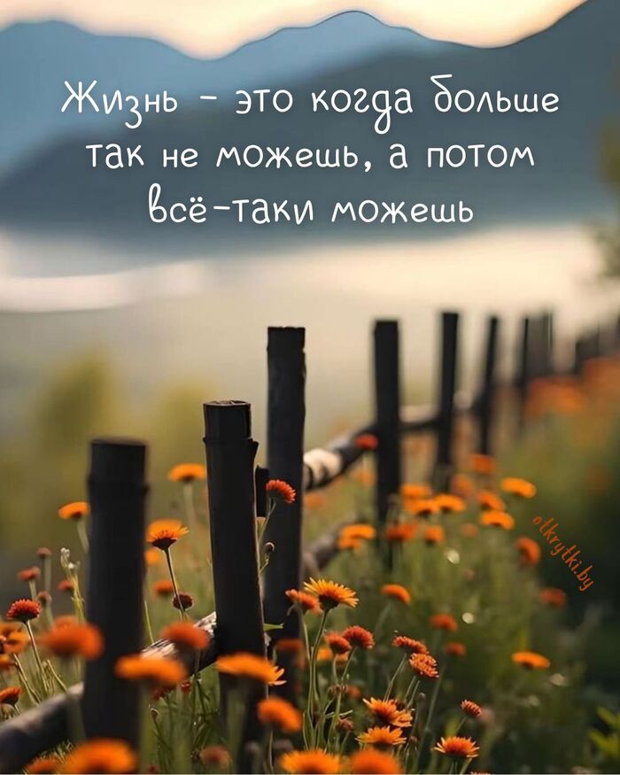 1001     ,    