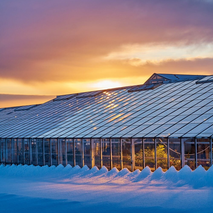     :                        .