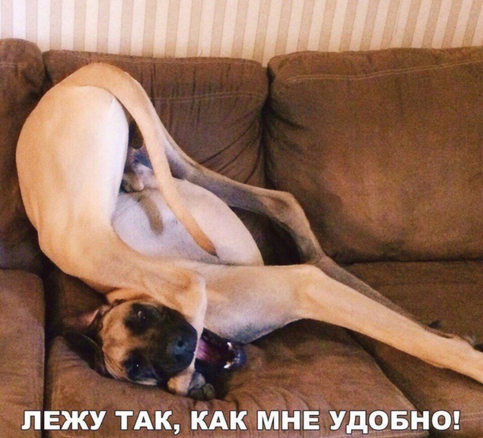   ,   *! , , , , , , , , ,  , , , , 