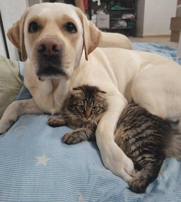      , , , ,  