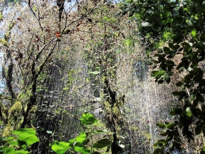  ,   .    <!--noindex--><a href="https://pikabu.ru/story/samshit_13114649?u=http%3A%2F%2Fglasnarod.ru&t=glasnarod.ru&h=17b6e63c1b172cb43c14870b5ea8342ca3e2117e" title="http://glasnarod.ru" target="_blank" rel="nofollow noopener">glasnarod.ru</a><!--/noindex-->.