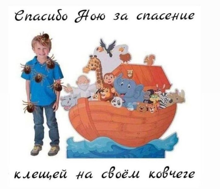 Ной, ну и кто ты после этого?