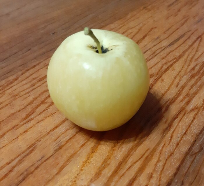  ... , , , , 