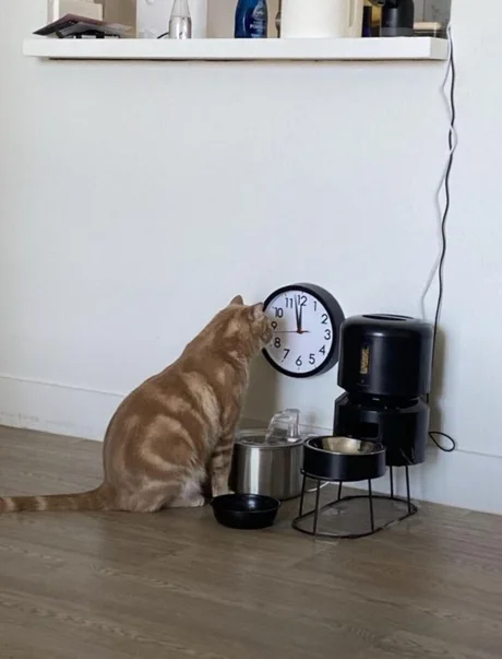  , , , 