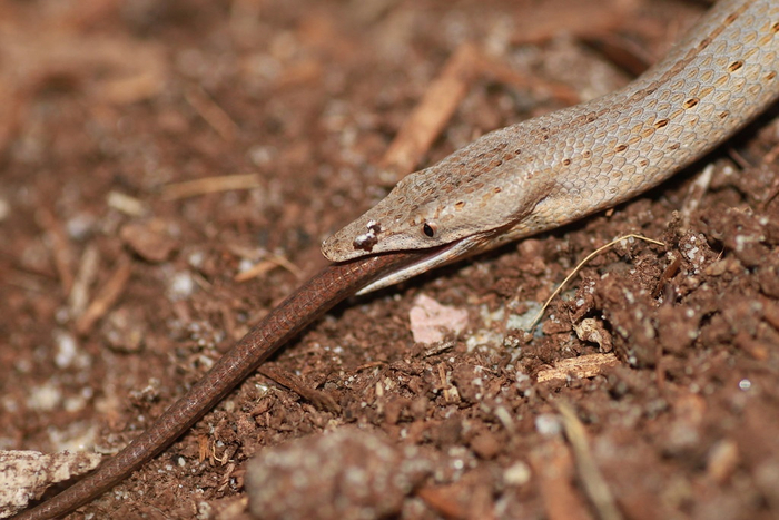 ��, ��� �� � ������ ��� ��������!