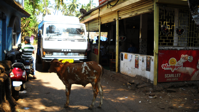 Знаменитый Джус-центр в Сиолиме!