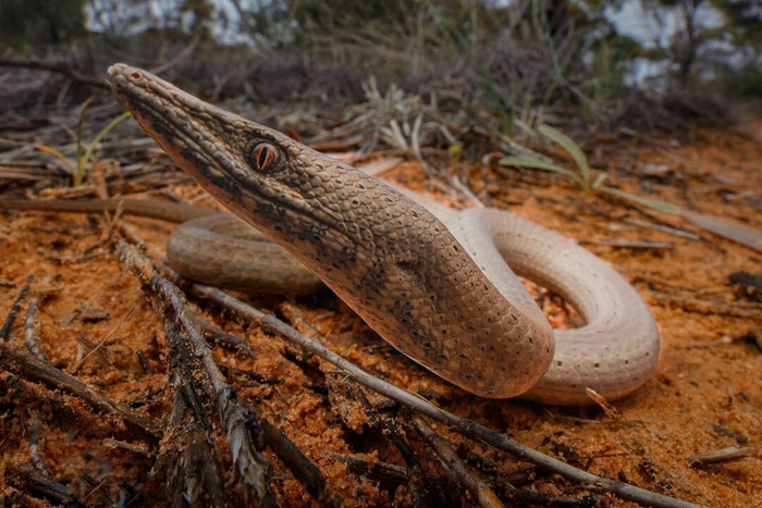 �� ������, � ����? � � �������! ����� ��������!