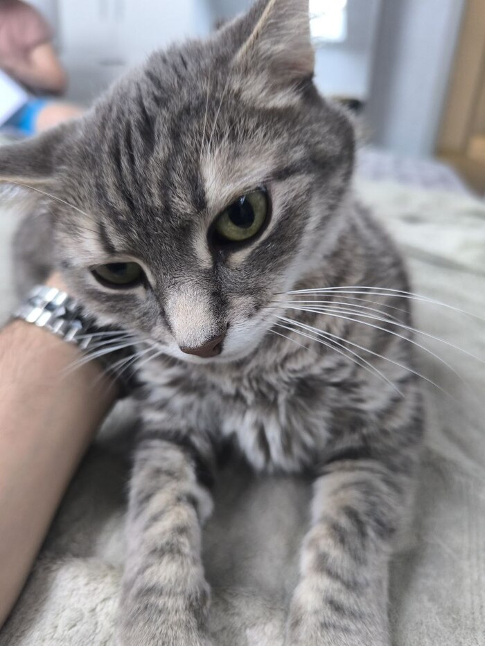  ,   . .   ,   ? ?    . 