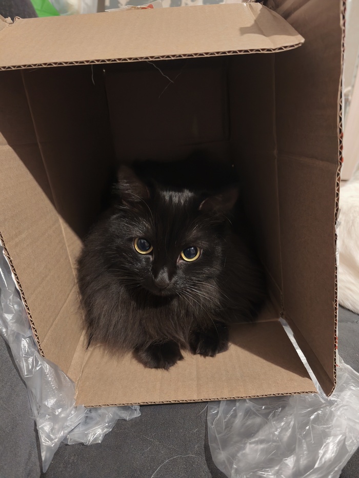 ���� ��� �������!