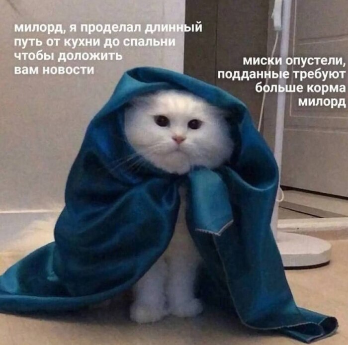  3450 , Telegram (),   