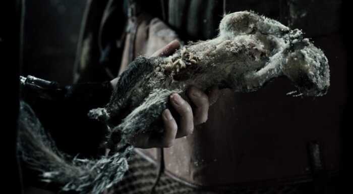 Сьели тухлого зайца