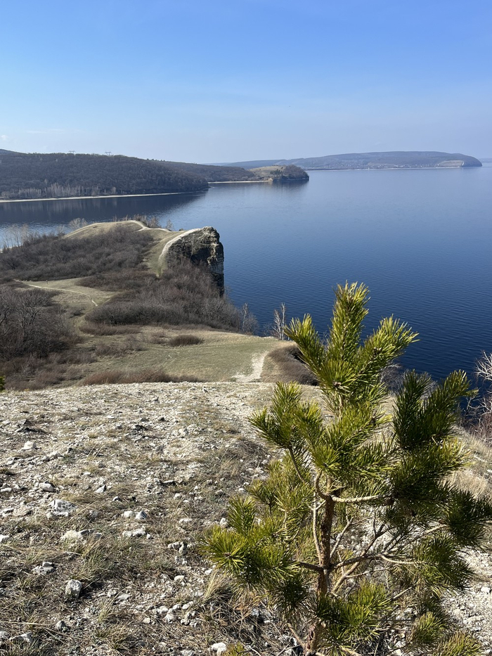 фото с интернета