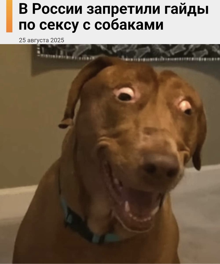    , , , , , 