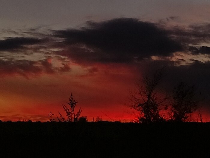 ���� ����� � �������