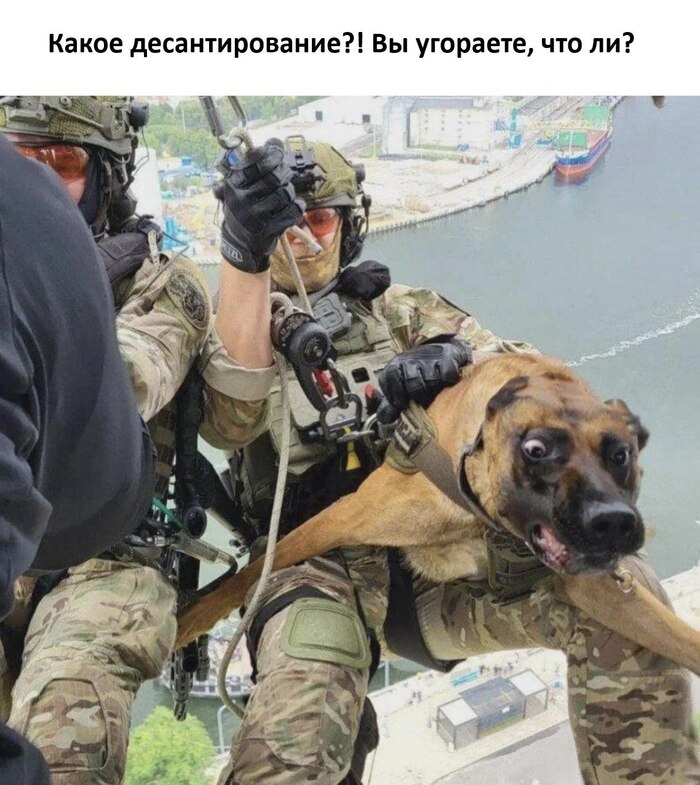 ����� ��.. ��������������?