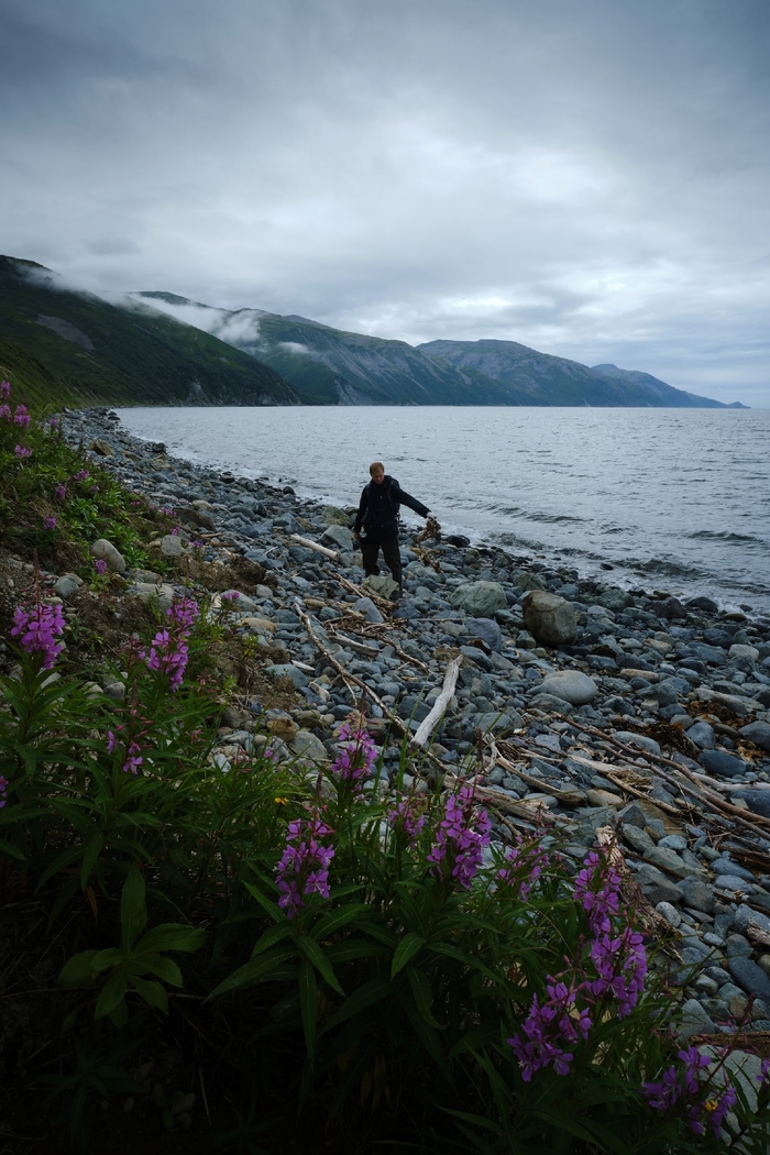 Сбор мусора