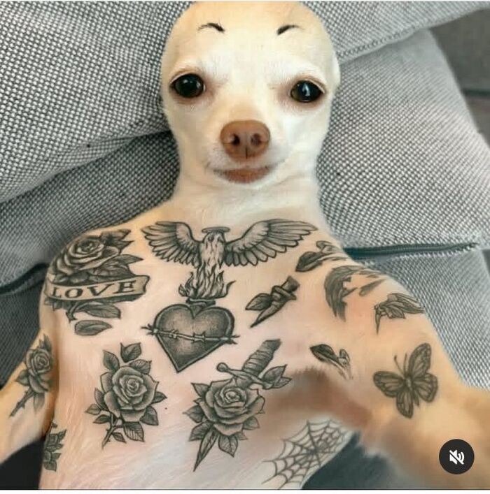     : ,   , , ,   