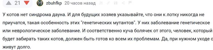   ܻ -  - , , , ,  , , , , , -,  ,  , ,  , , , , , ,   