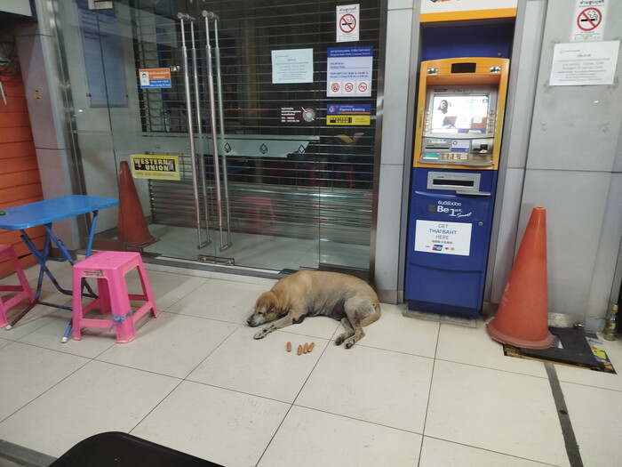 ������ � ����