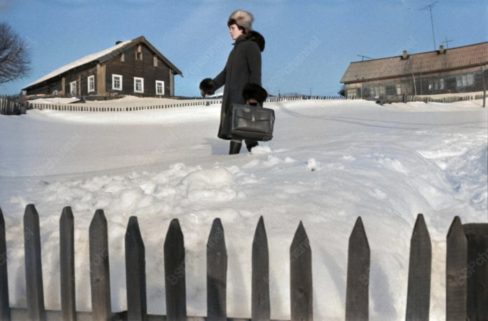 ��������: ���� ��������