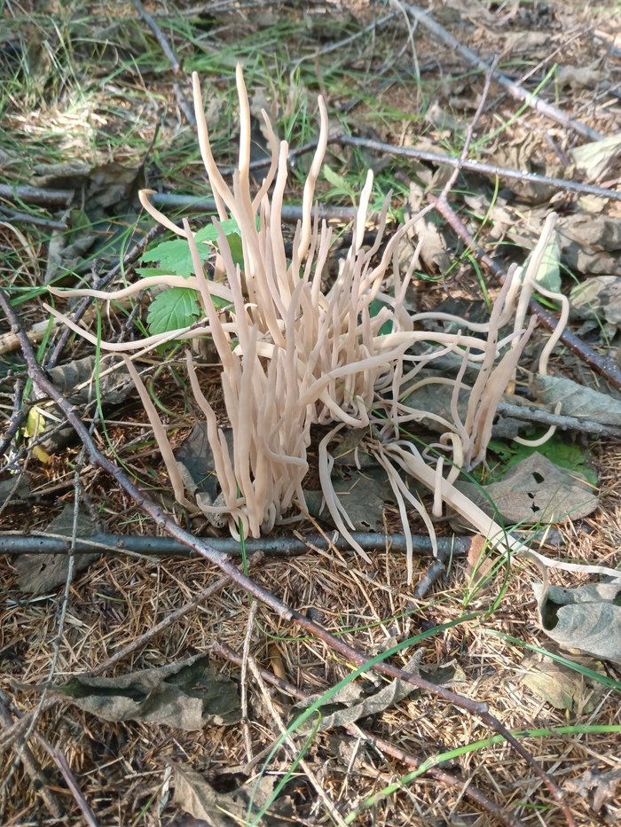     "".    .        .    -     &#x1FAE3;