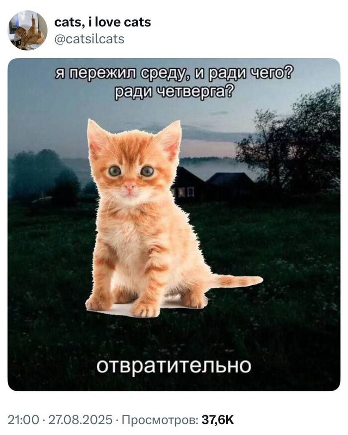     ... , , , , , ,   