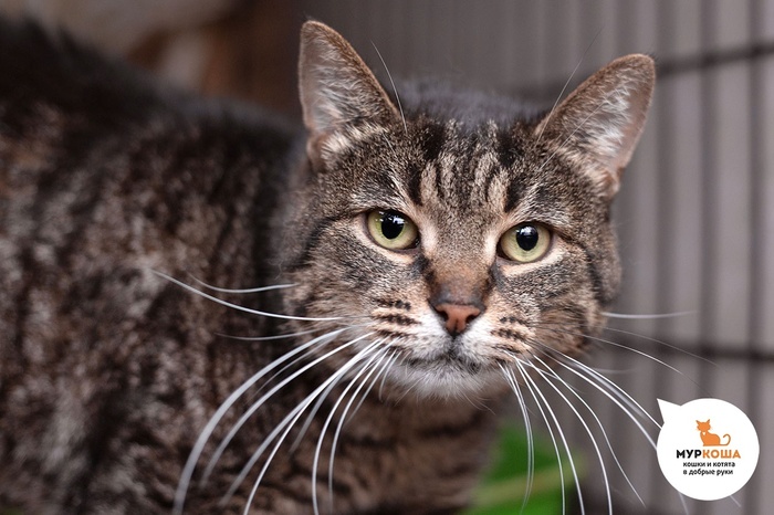   - 3 ,   . .        - .  ,              .