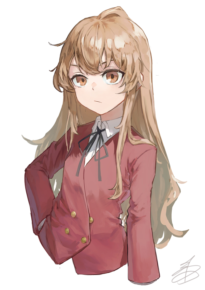  Anime Art, , Toradora, Aisaka Taiga,  , Pixiv