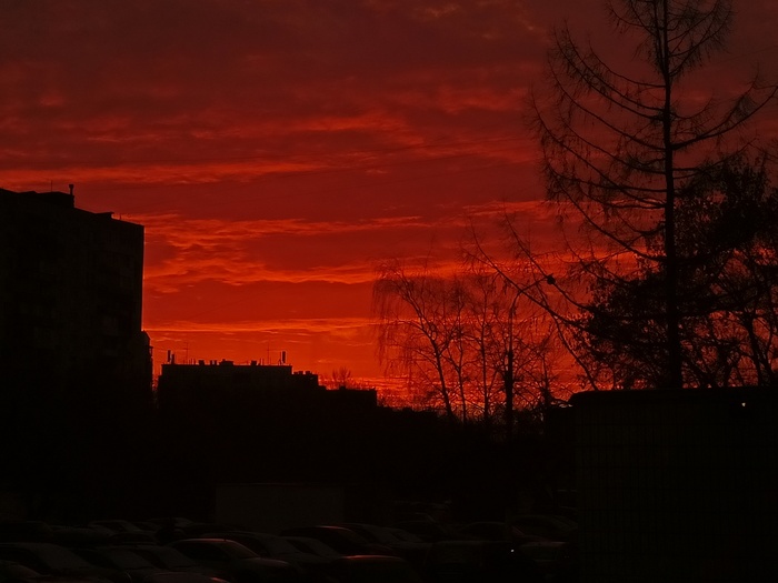 ���� ����