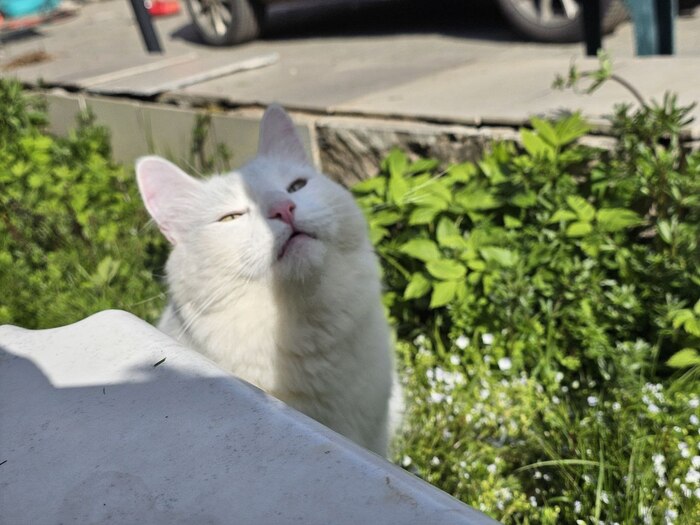 ���� ���?!