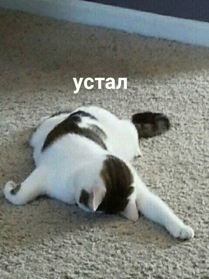         ""   ? , ,   , , , , ,   , , , ,   ,  